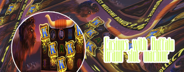 Buffalo grand slot machine
