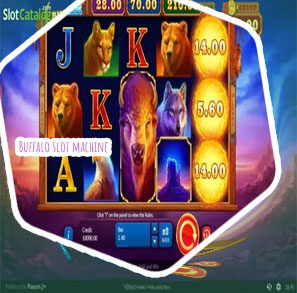 Wild buffalo slot machine